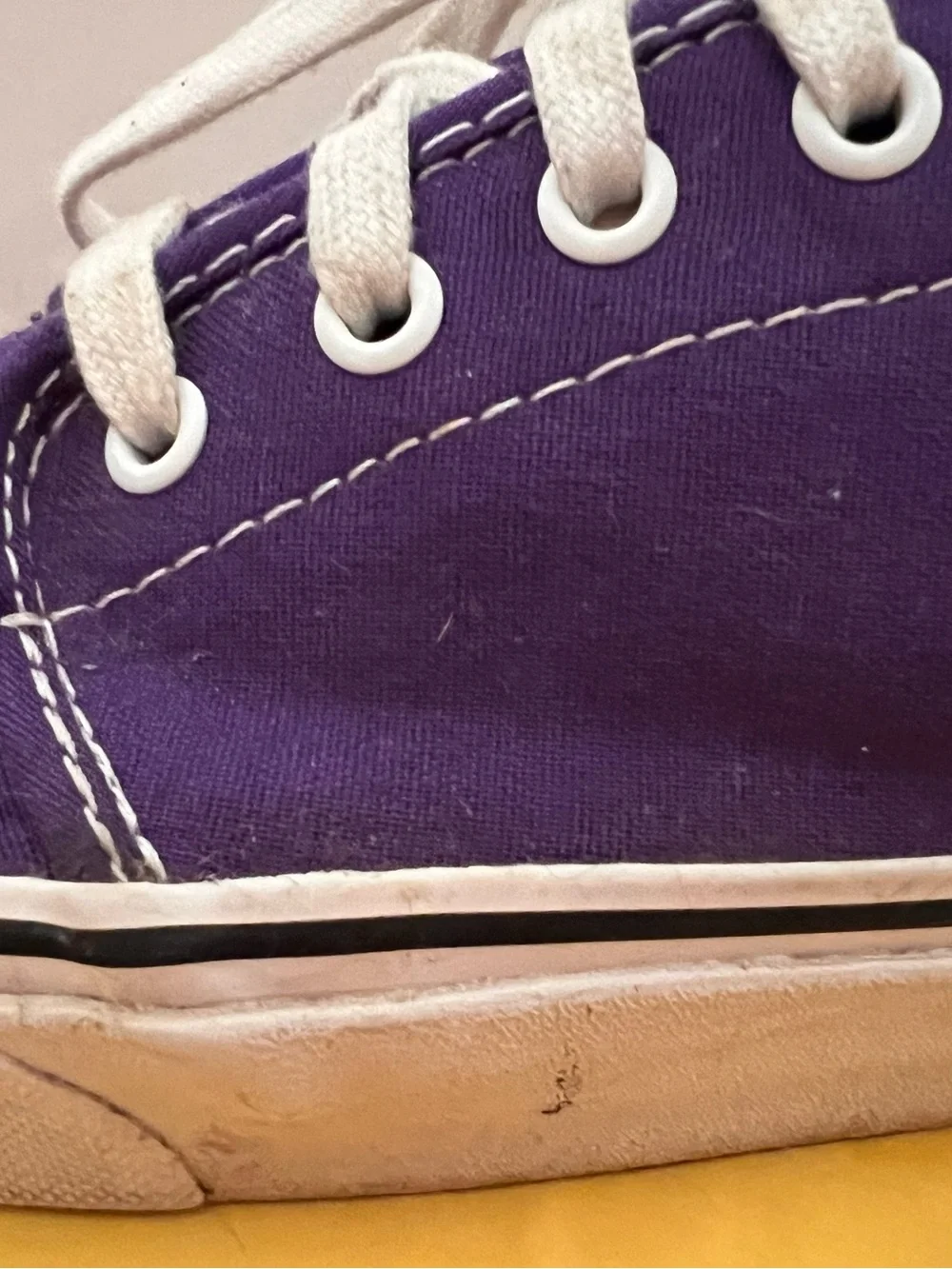 Vans Men’s Authentic Canvas Sneaker - Purple with White Laces